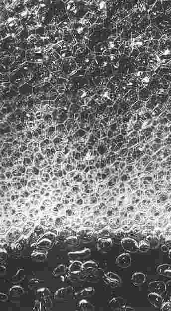 Entstehung von Schaum Schwimmschlamm Problemschlamm Problemschlämme Gasschlämme schäumen Klärschlamm Kläranlage